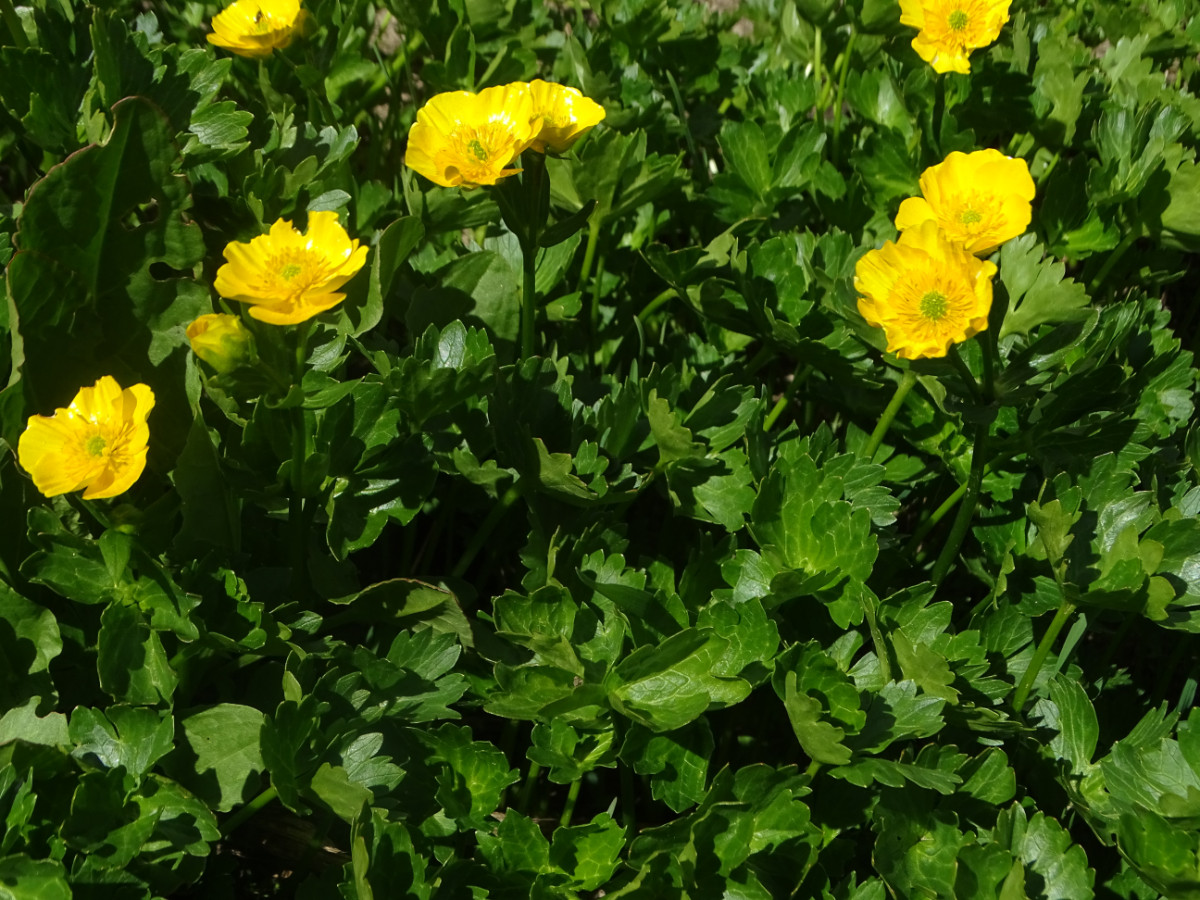 DSC00358.JPG