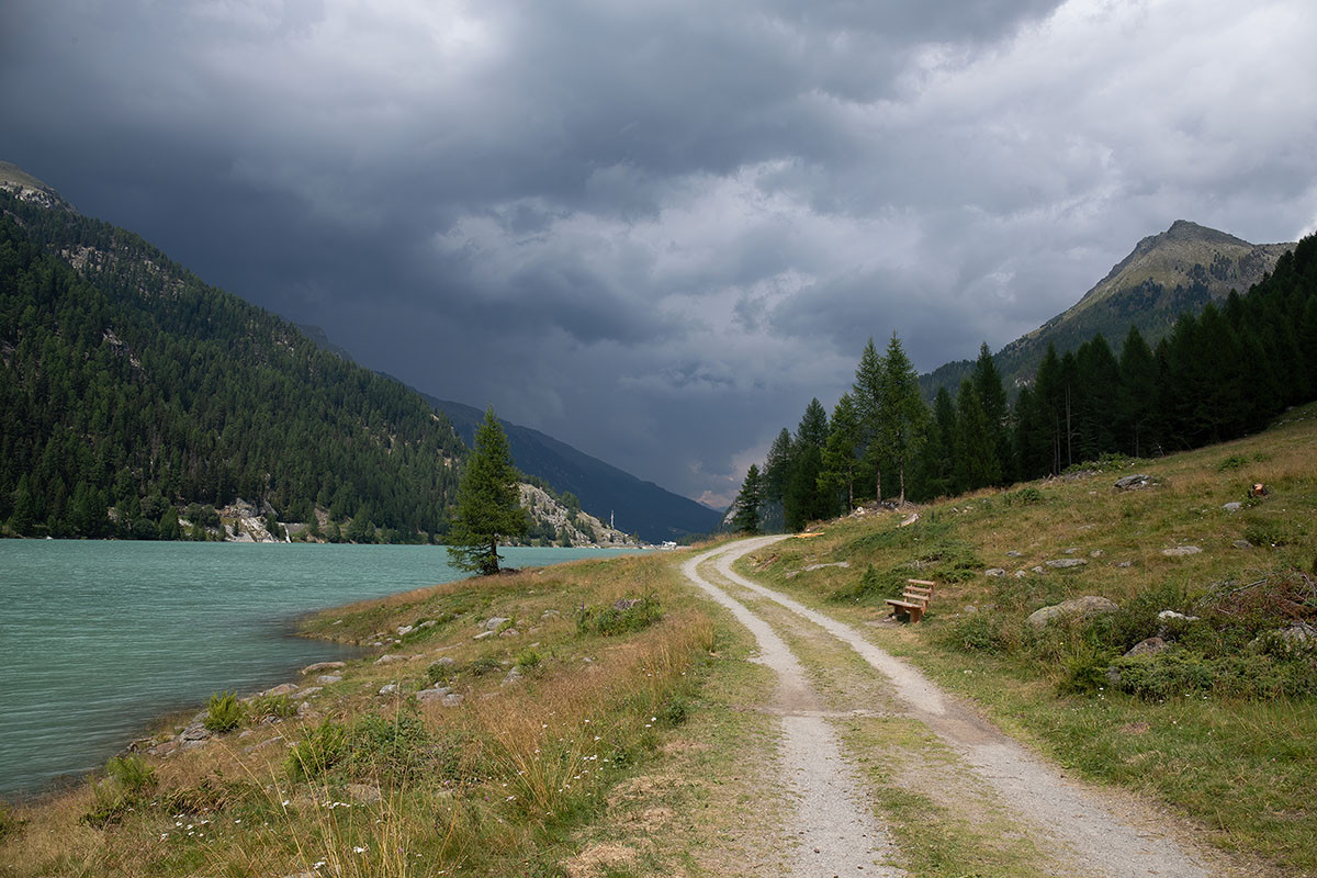 Habitat_Zufrittsee_Martelltal_06.jpg