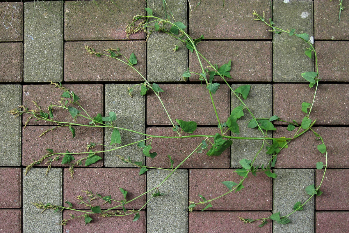 2024-08-22 (1)_.jpg