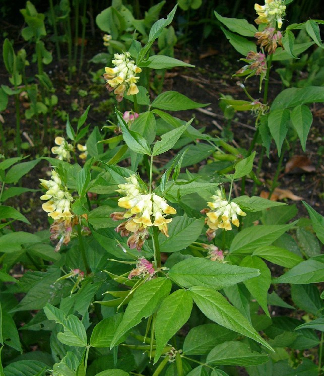 P1610015_xx.jpg