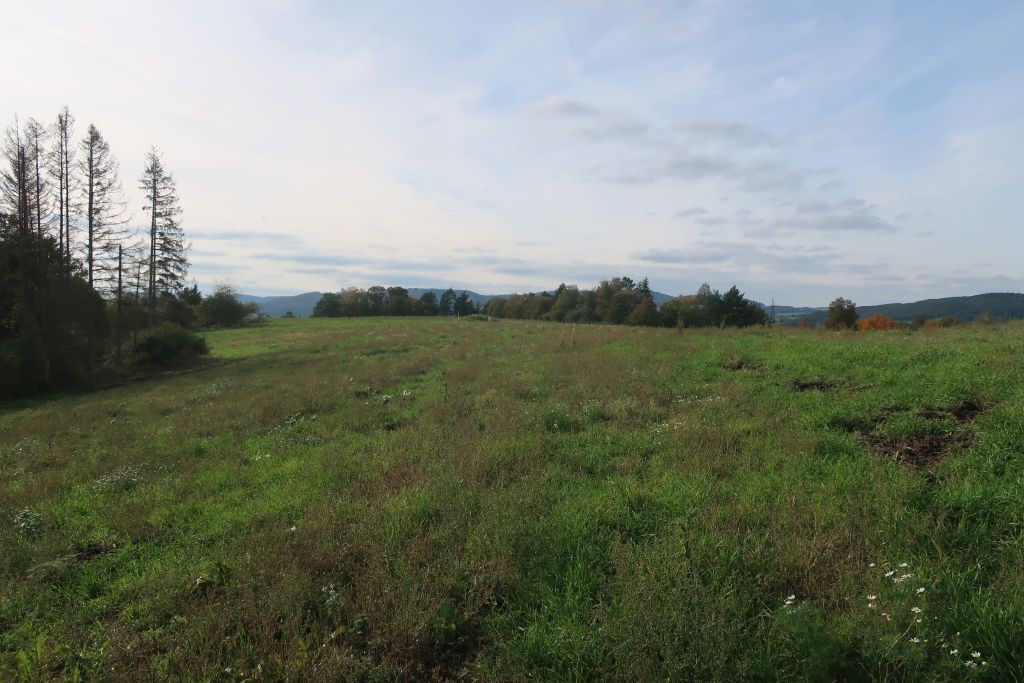 Eine der beiden Flächen - leichte Hanglage, am Ortsrand von Lichtenfels und gleichzeitig am Waldrand.