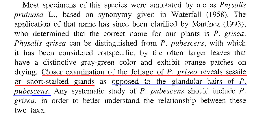 Sullivan grisea - pubescens.jpg