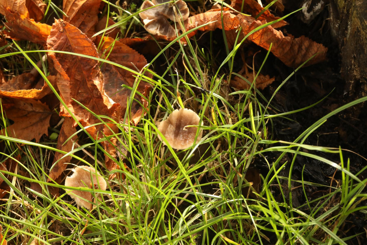K1600_DI3A6030.JPG