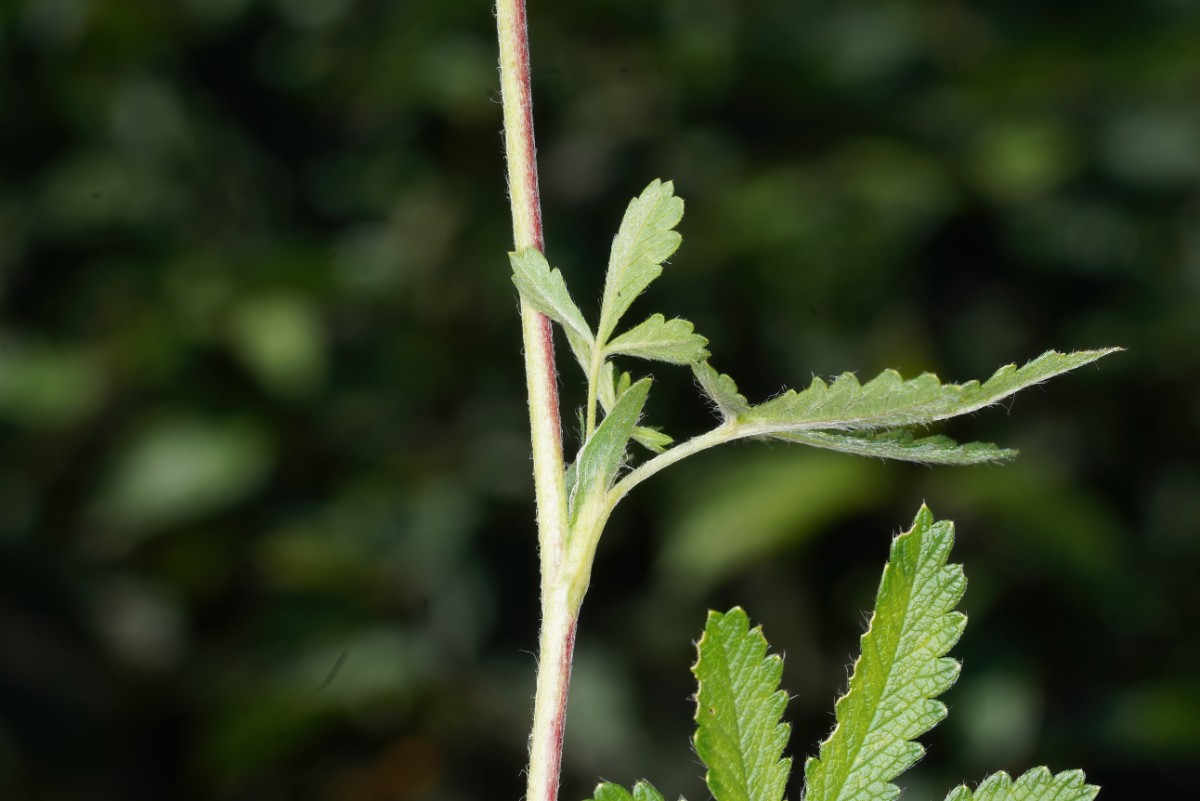 24A09975.JPG