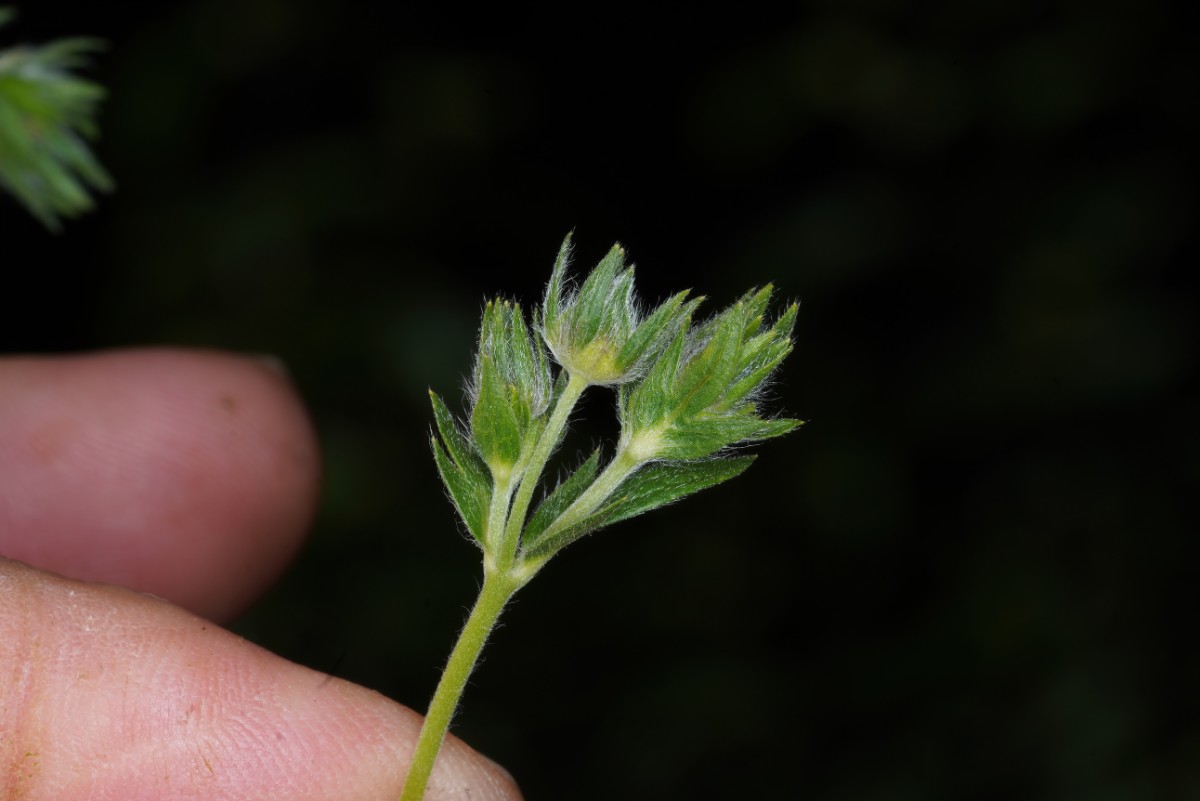 24A09976.JPG