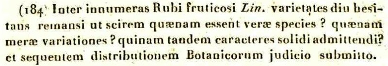 auguste.JPG