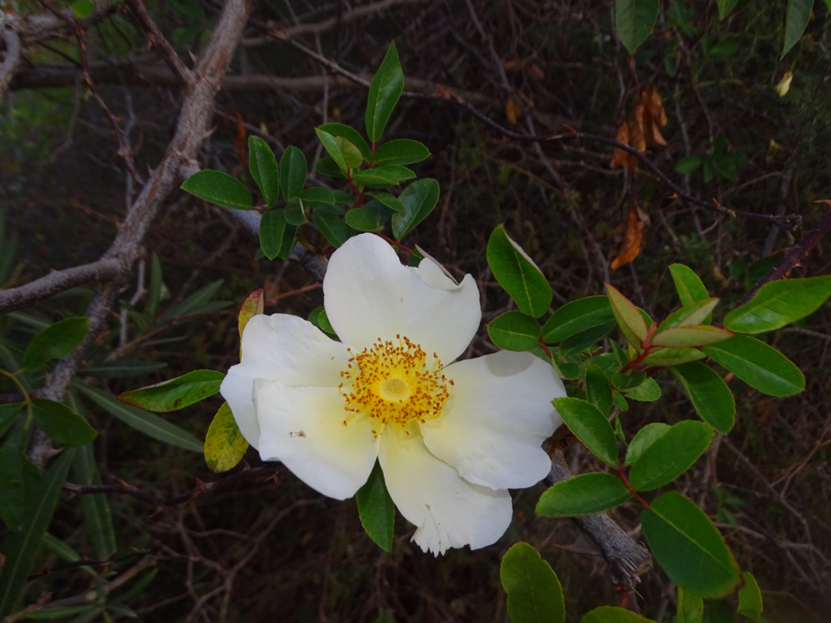 DSC00907.JPG