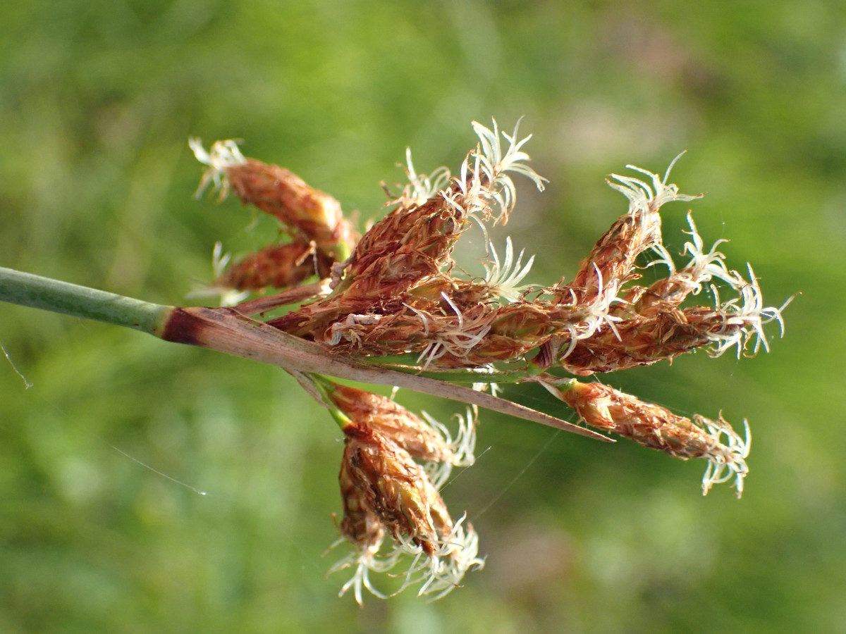 P7043563.JPG
