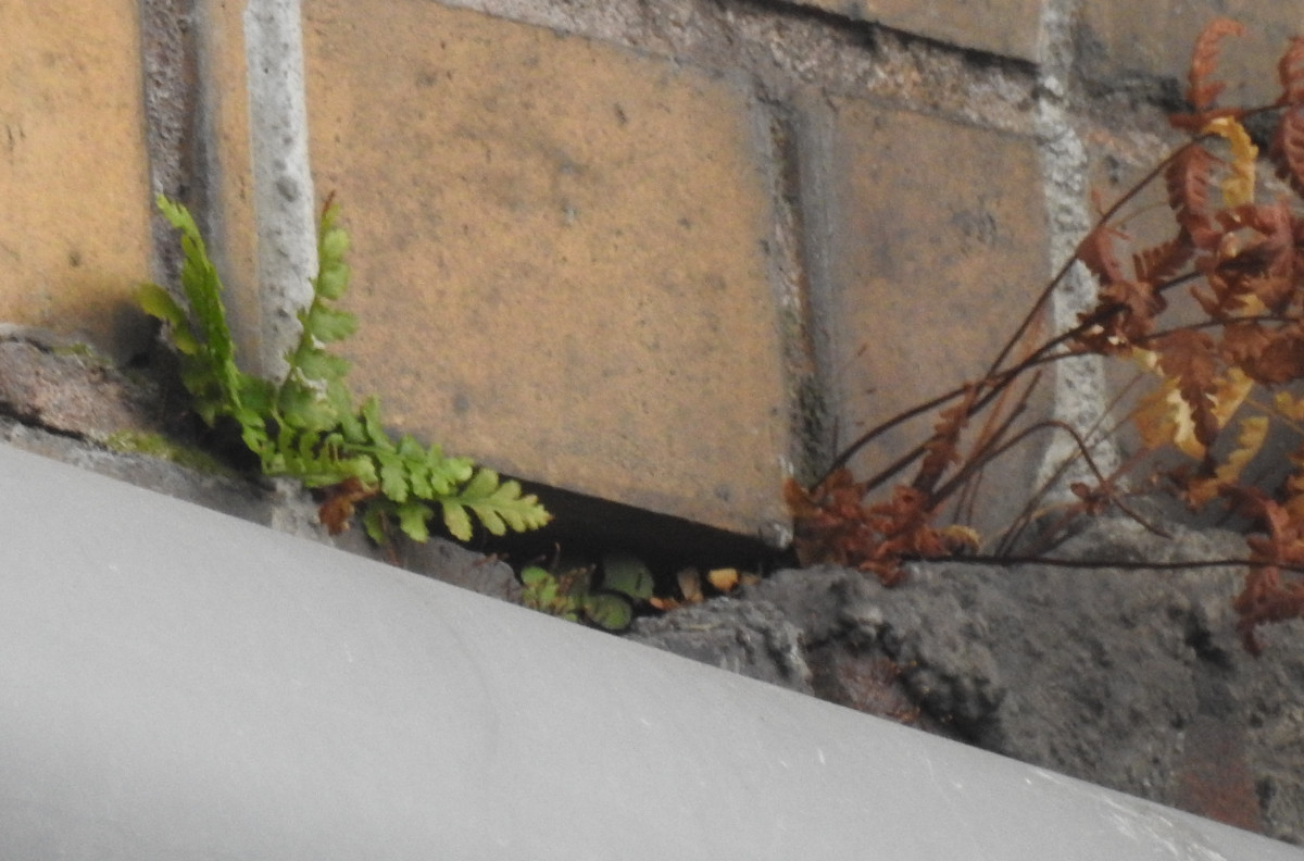 DSCN6813.JPG