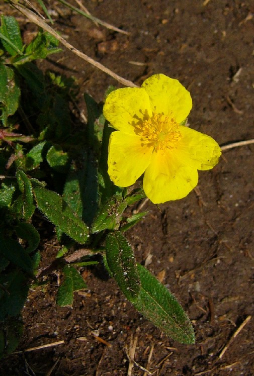 P1050688_2.jpg