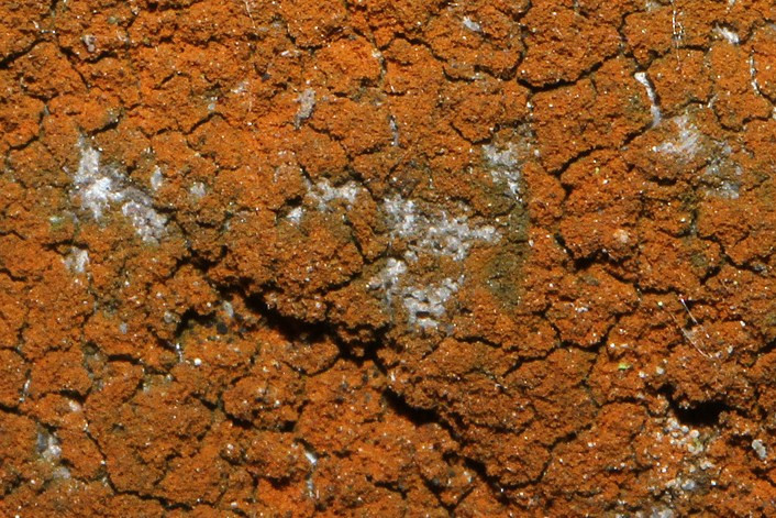 k-Fl_05.jpg