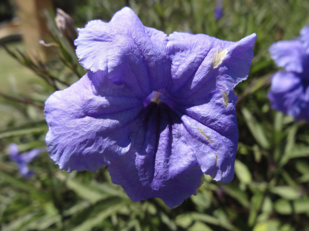 DSC08825_1.jpg
