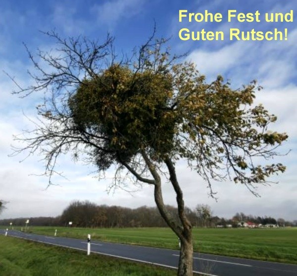 fest24.JPG
