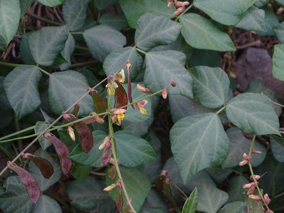 DSC00246.JPG