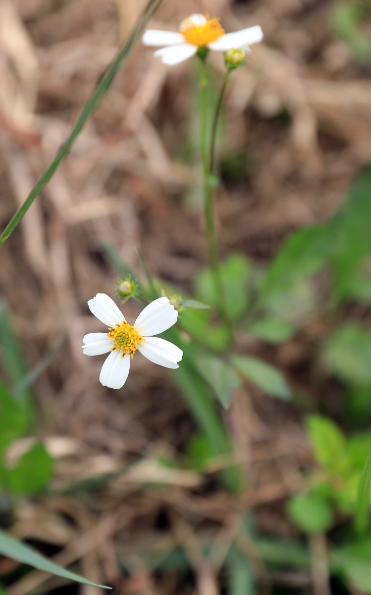 4Q4A0613A.jpg