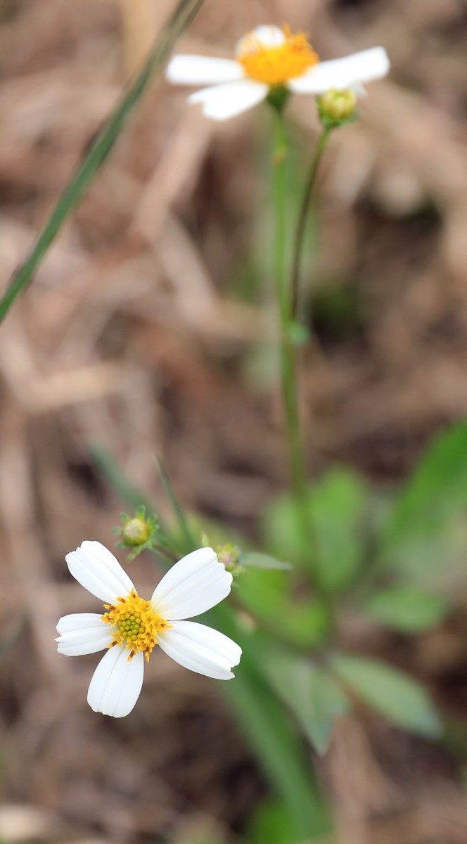 4Q4A0613C.jpg