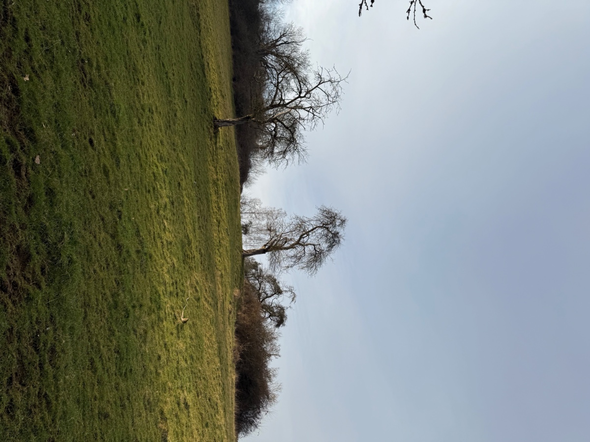 IMG_5471.jpeg