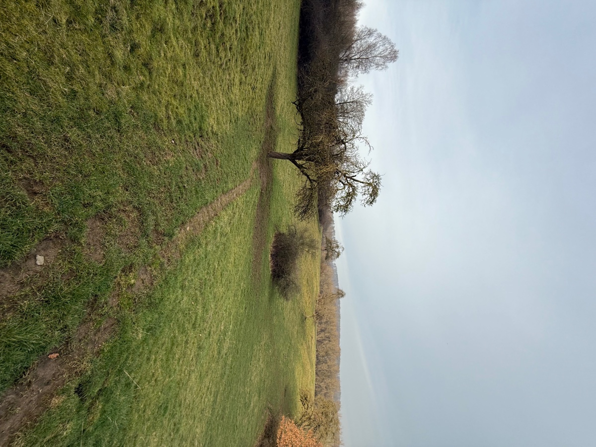 IMG_5459.jpeg