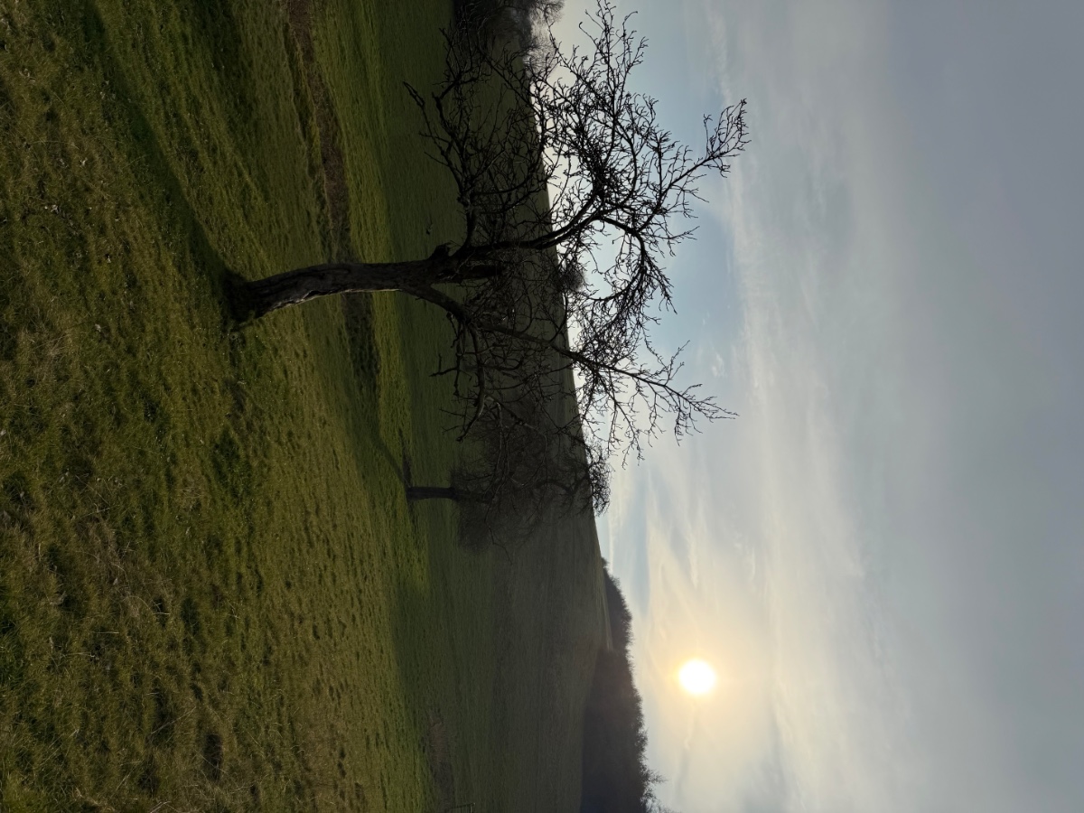 IMG_5427.jpeg