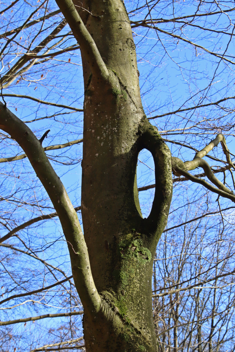 IMG_4544p.JPG