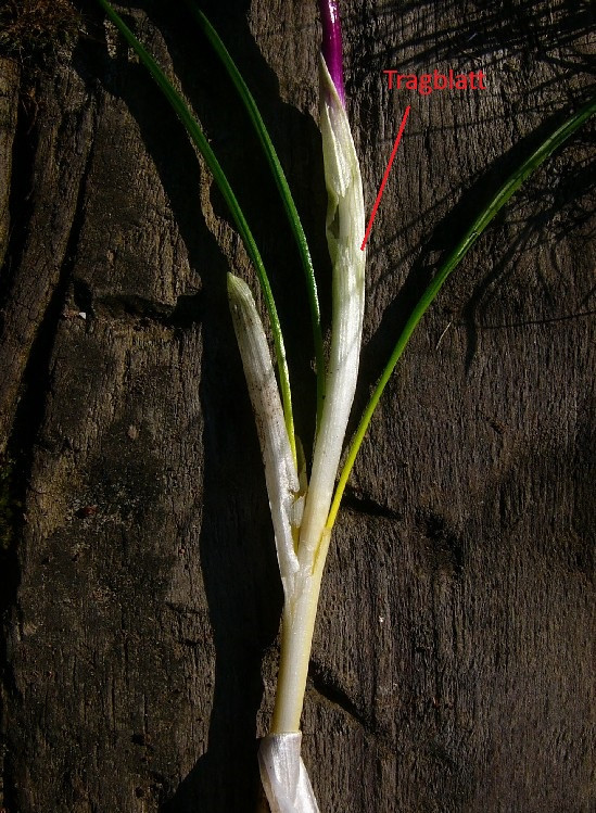 P1400098_2.jpg
