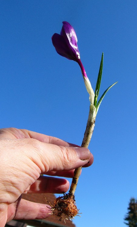 P1400087_3.jpg