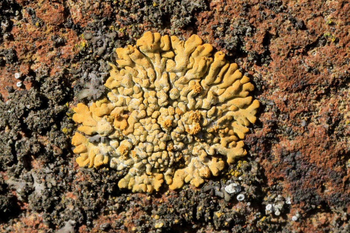 k-CD_03a.JPG