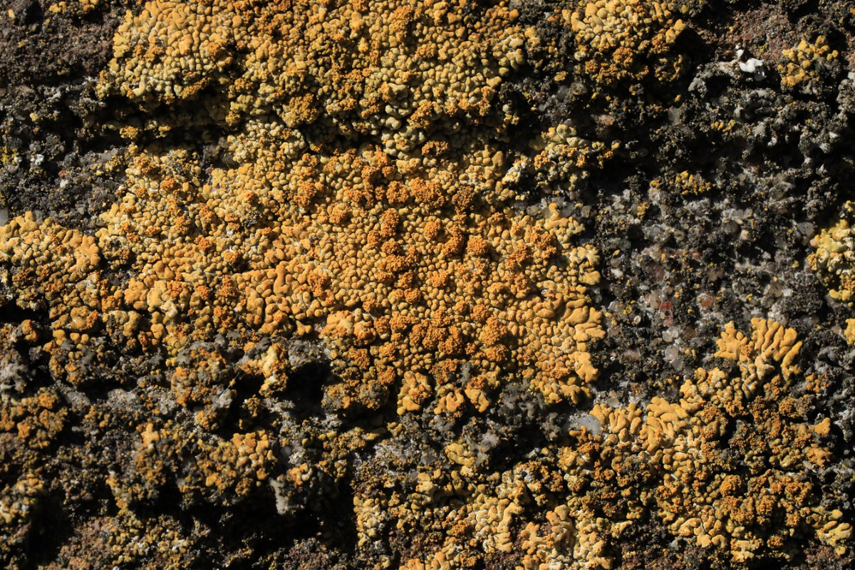 k-CD_05.JPG