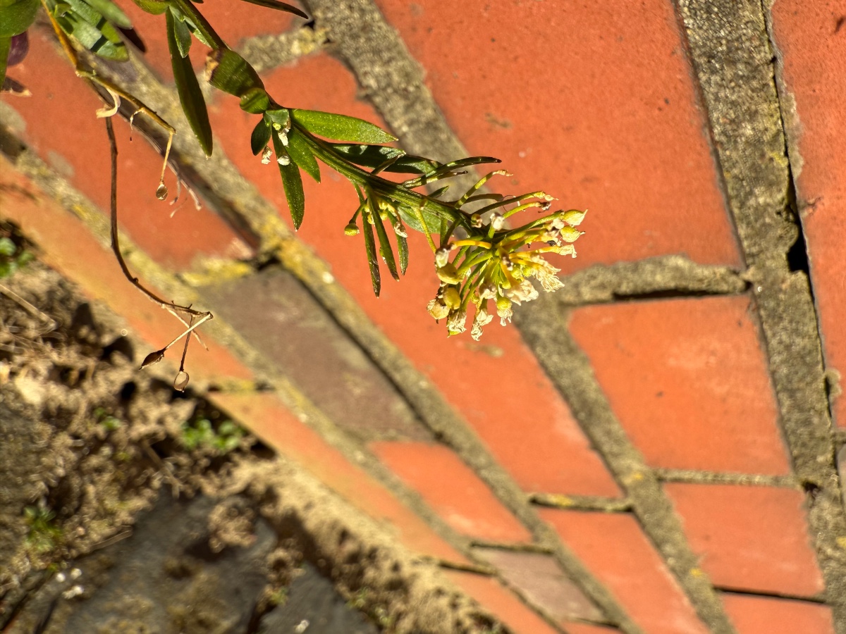 IMG_9062.jpeg