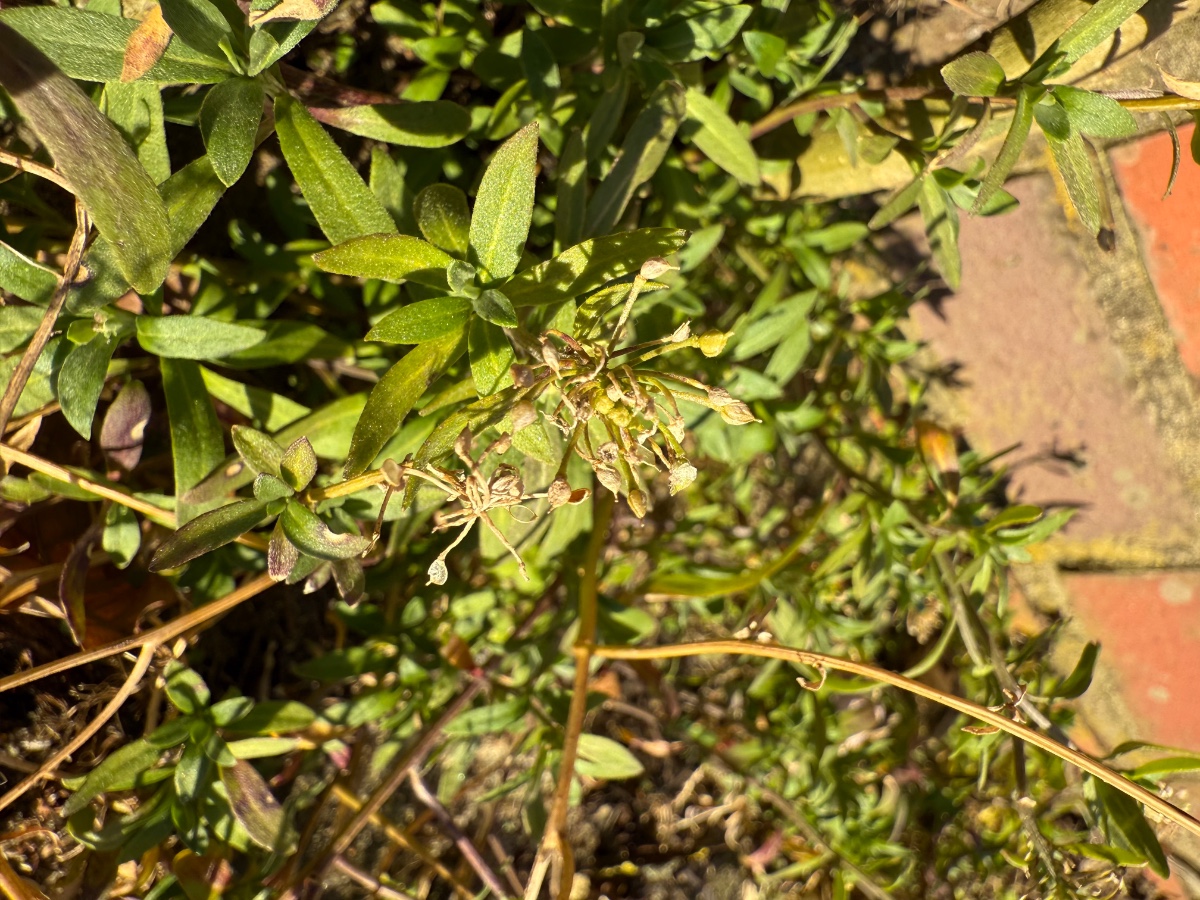IMG_9058.jpeg