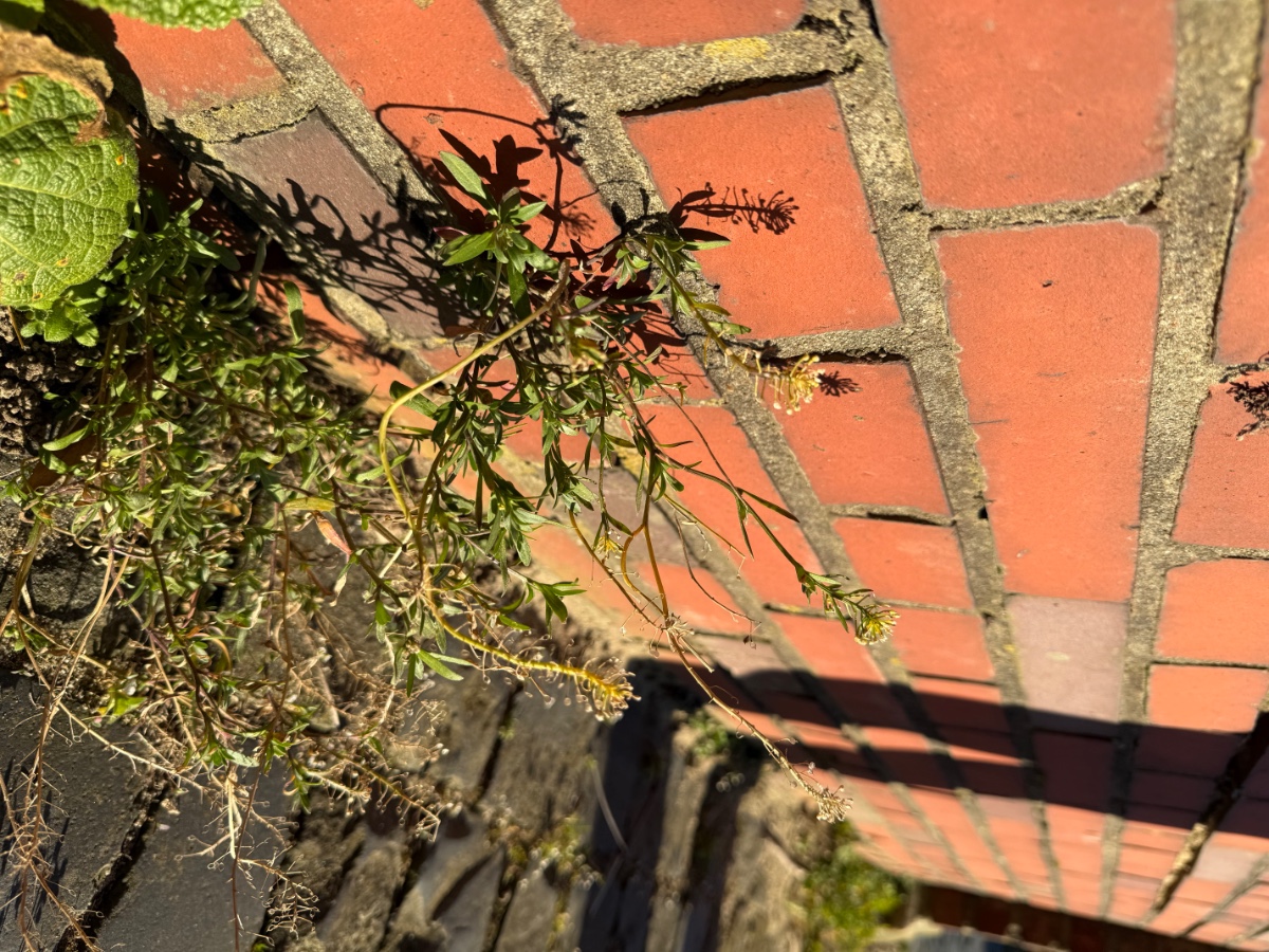 IMG_9059.jpeg