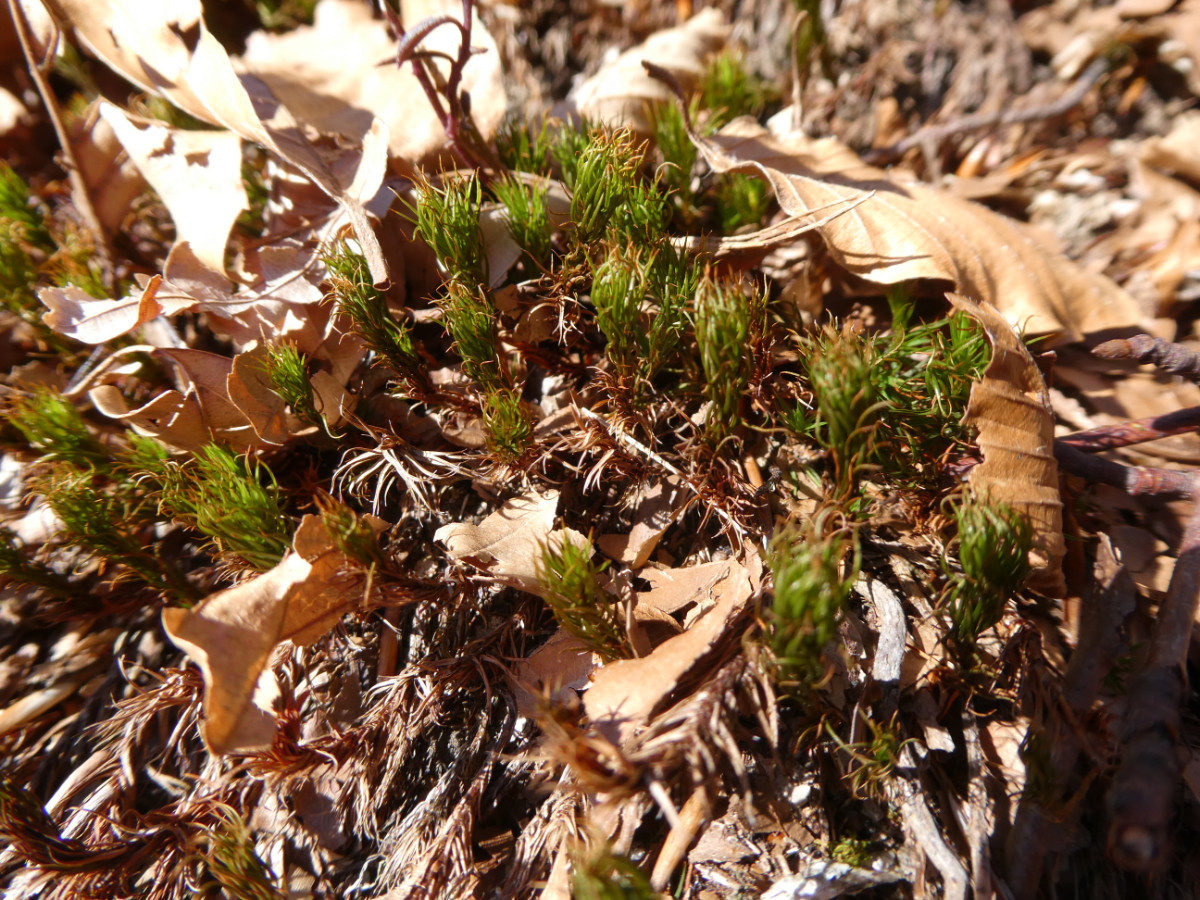 P1030314.JPG