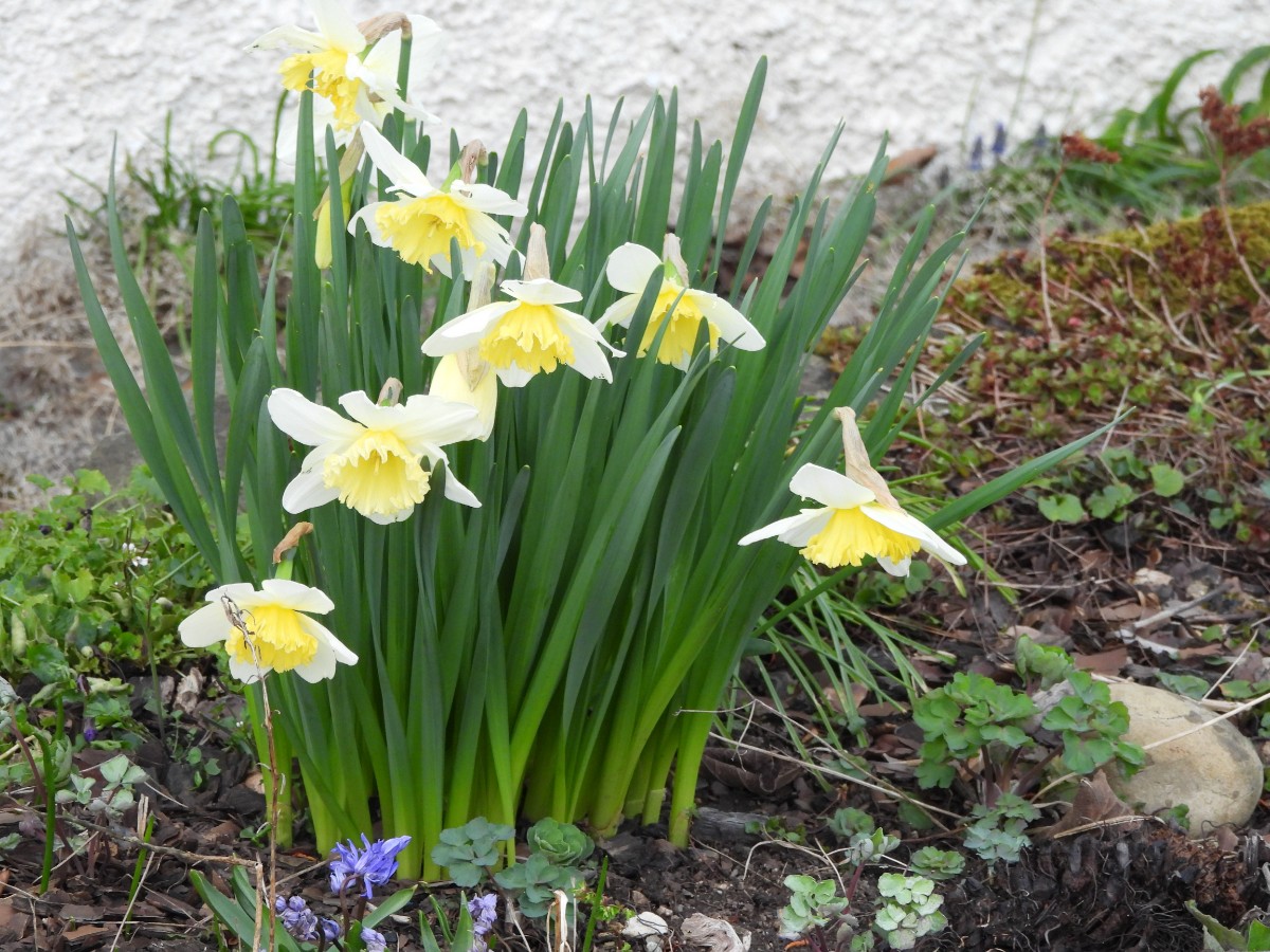 DSCN7428.JPG