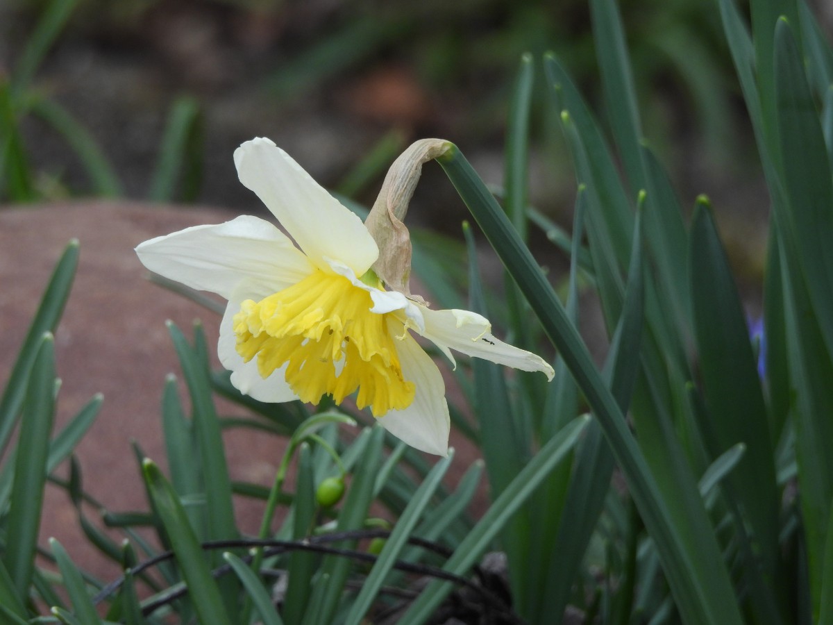 DSCN7430.JPG