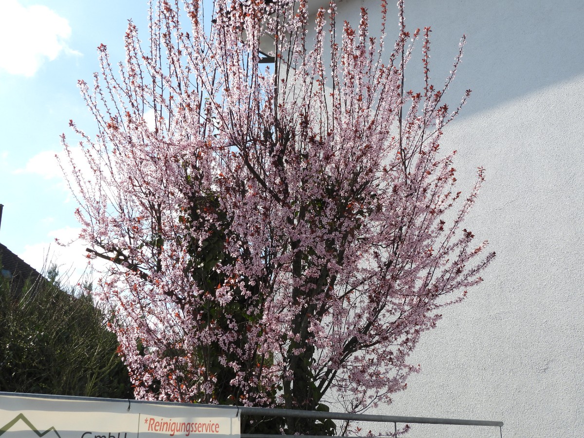 DSCN7694.JPG