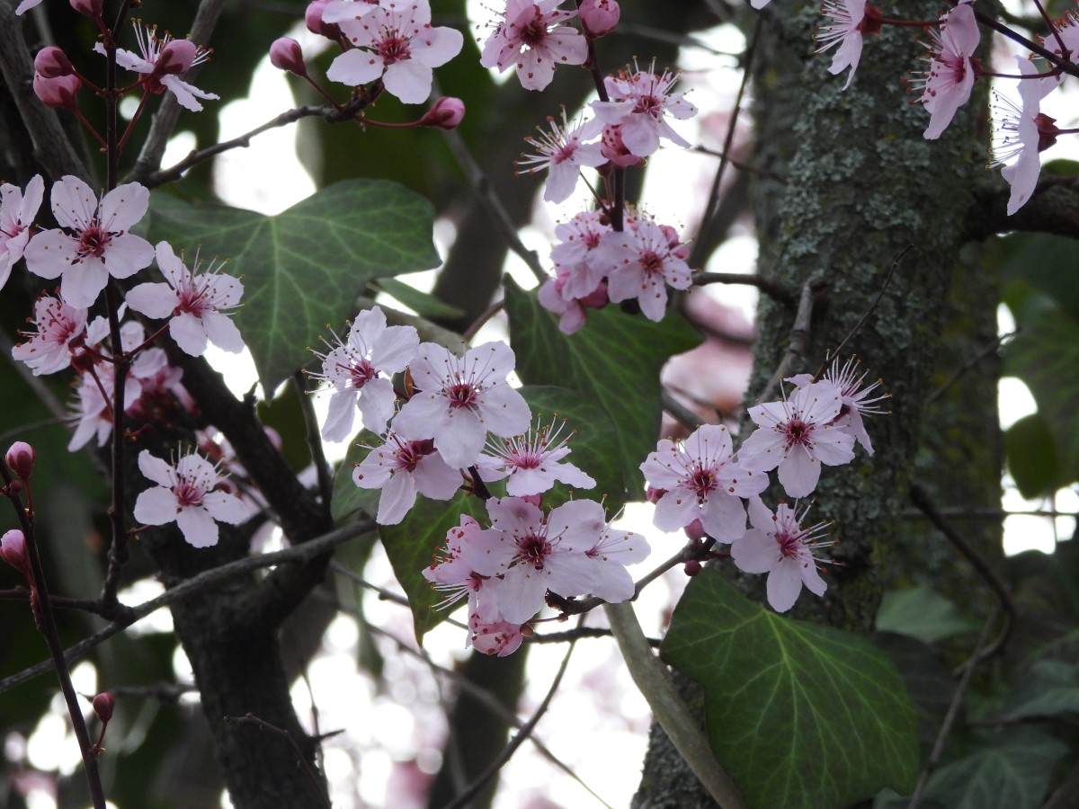 DSCN7627.JPG