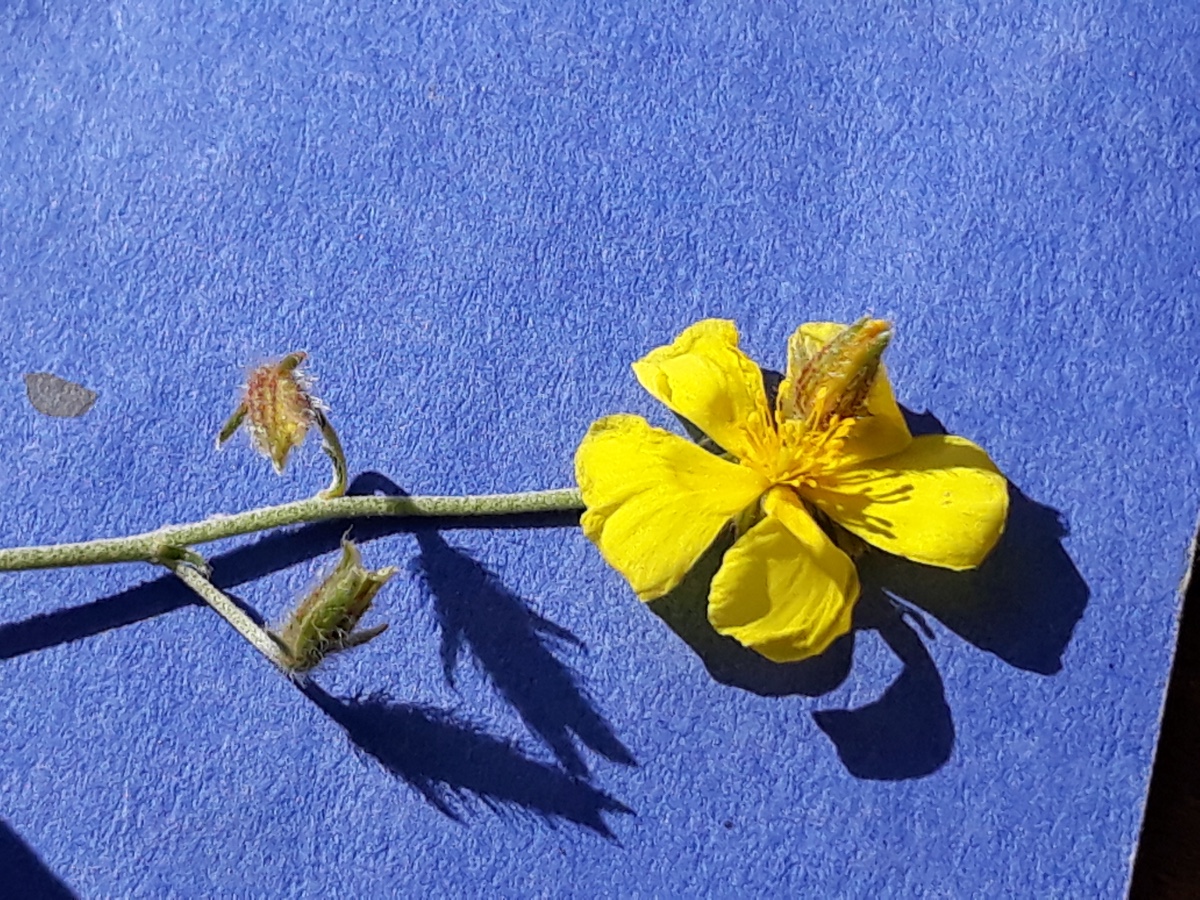 20200305_153306.jpg      x Kopie.jpg