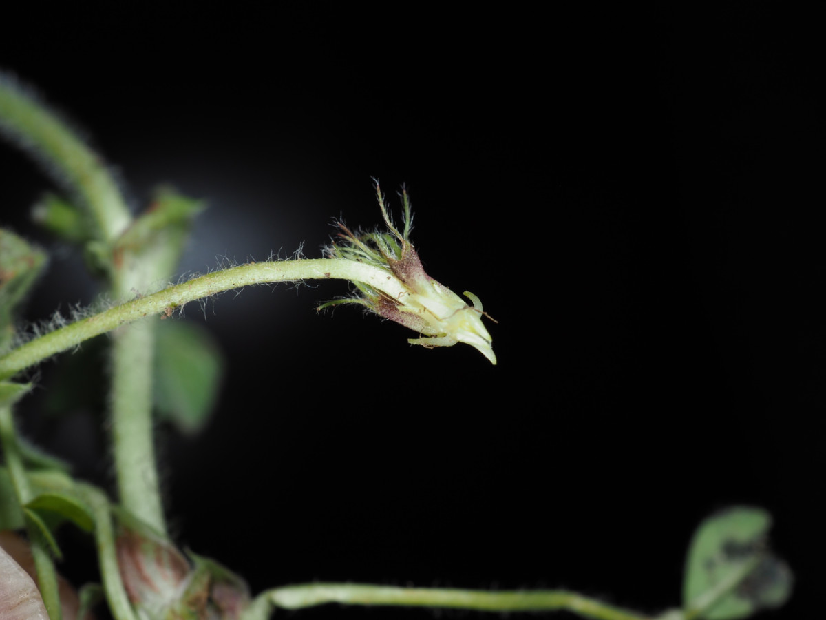 P4290534.JPG