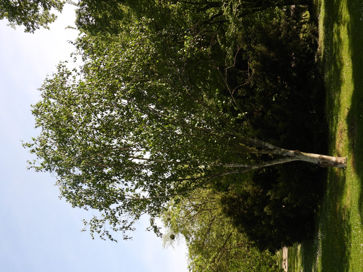 DSCN9021.JPG