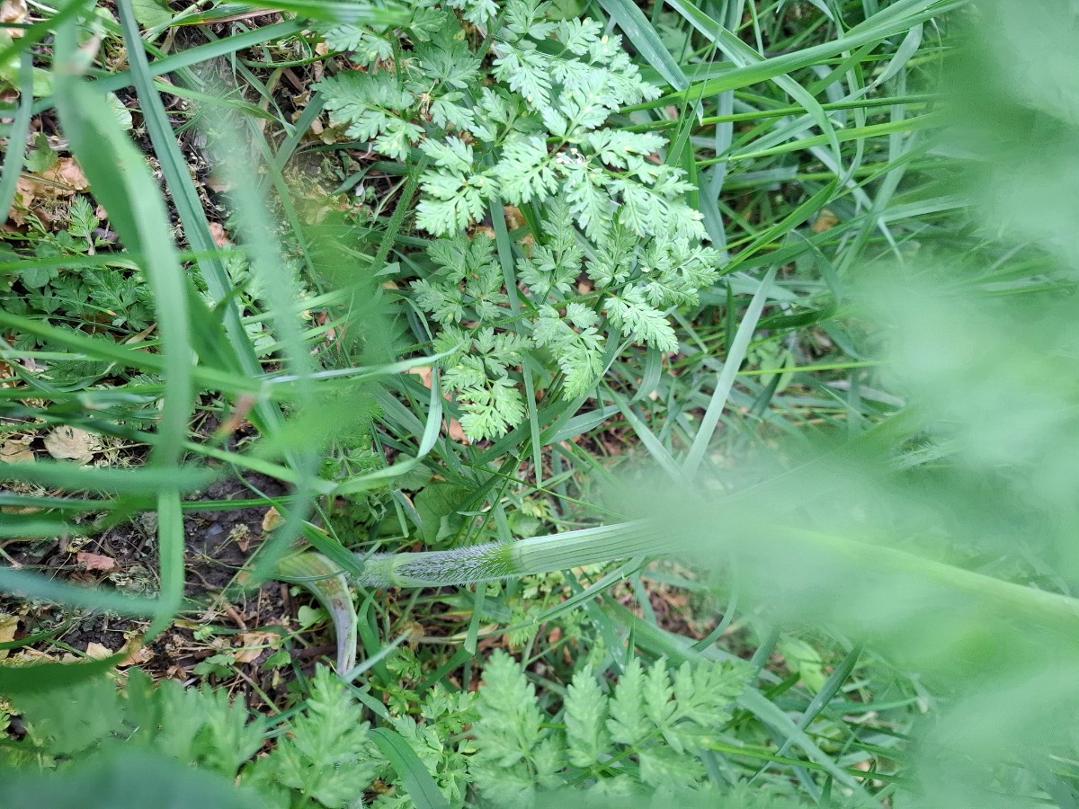 20250516_174634.jpg