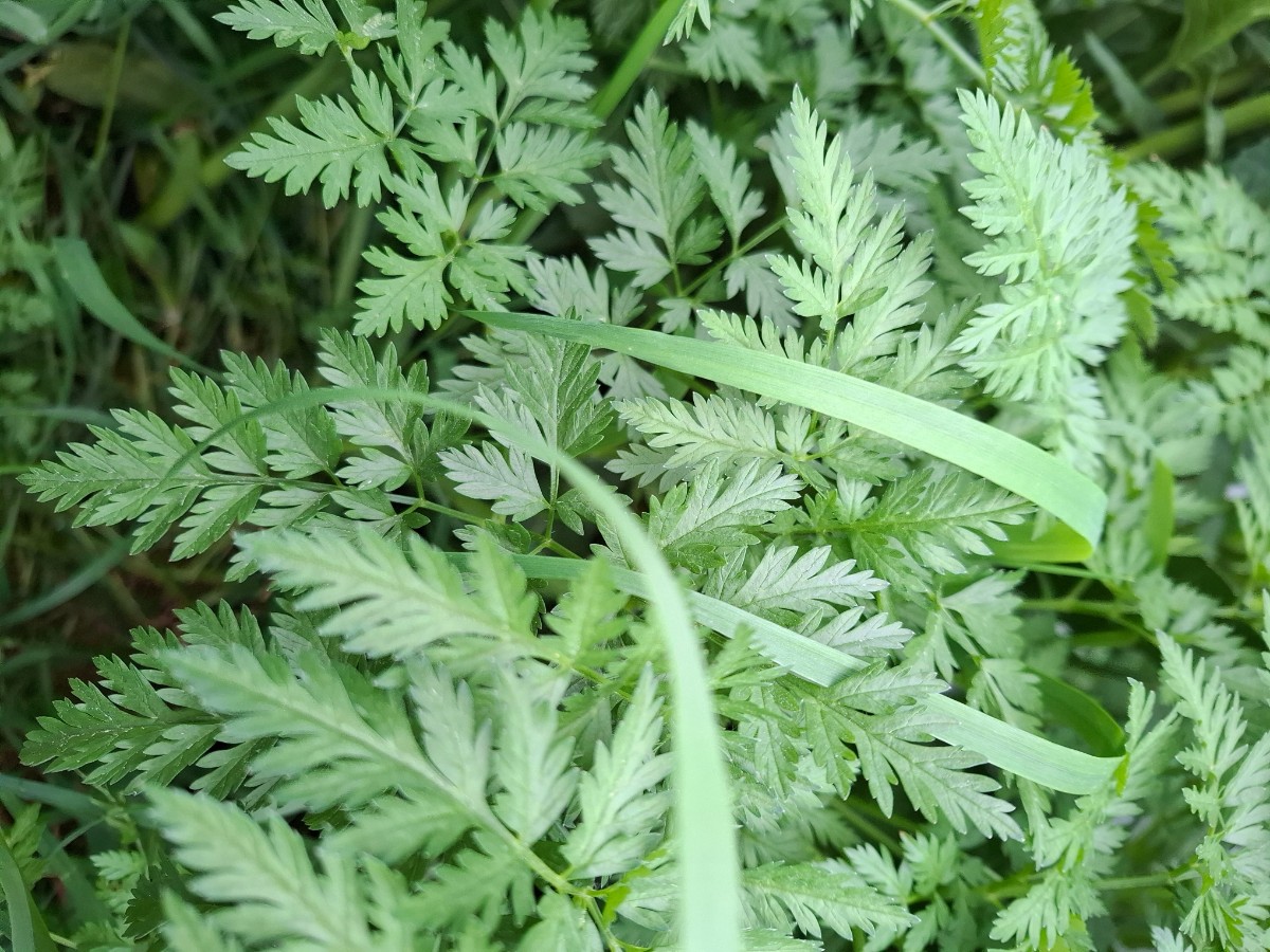 20250516_175831.jpg