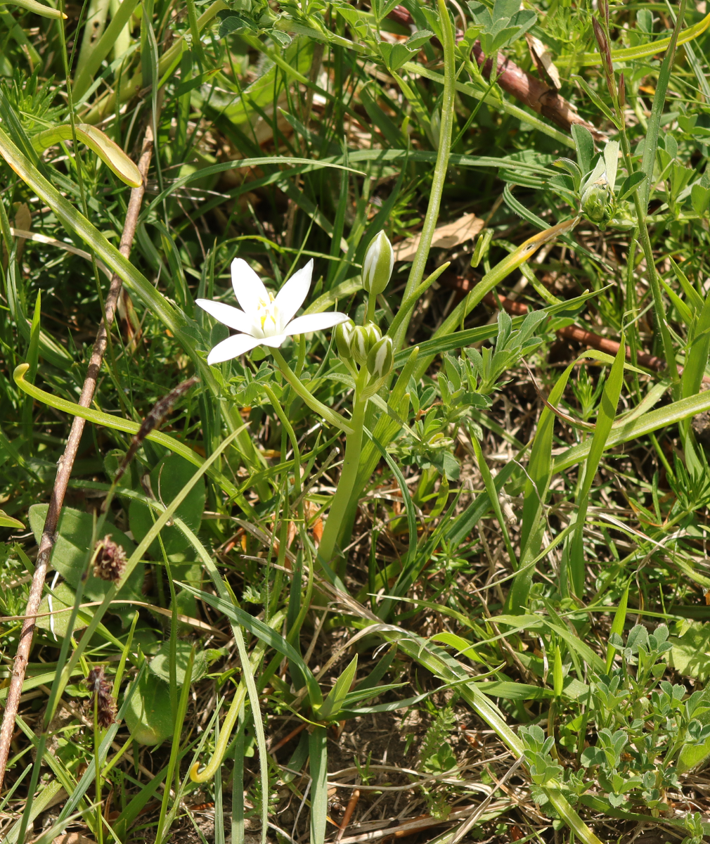 IMG_5070.png