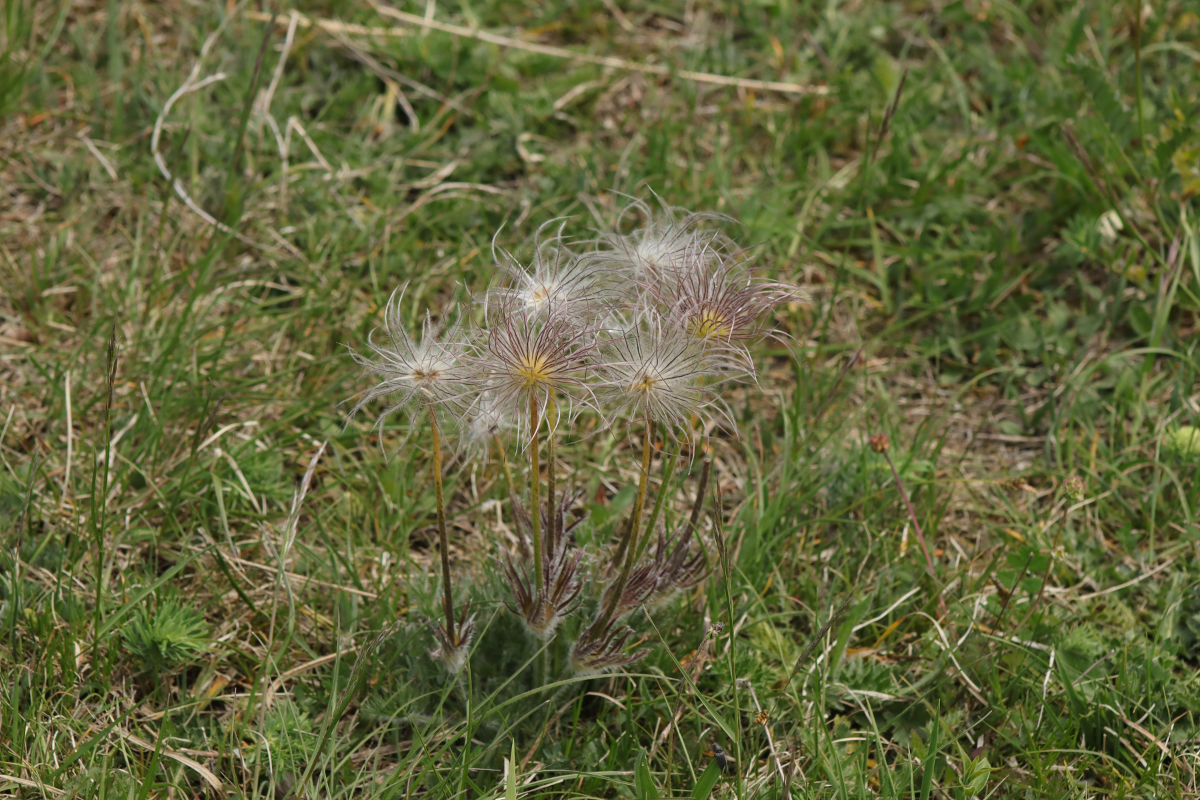 IMG_5073.png