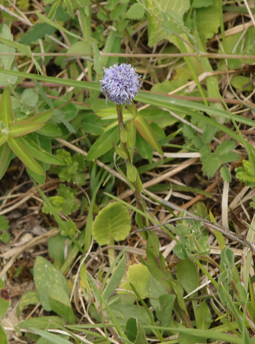 IMG_5118.png