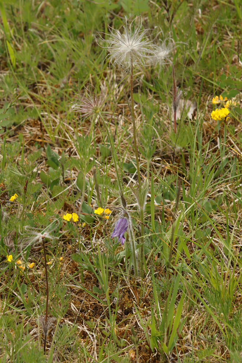 IMG_5120.png