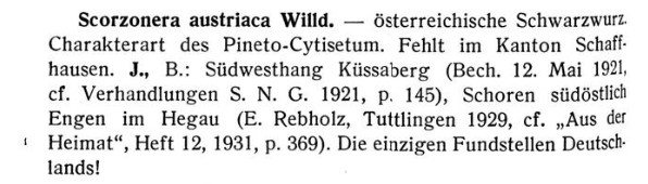 Kummer_1946_Scorzonera_austriaca.jpg