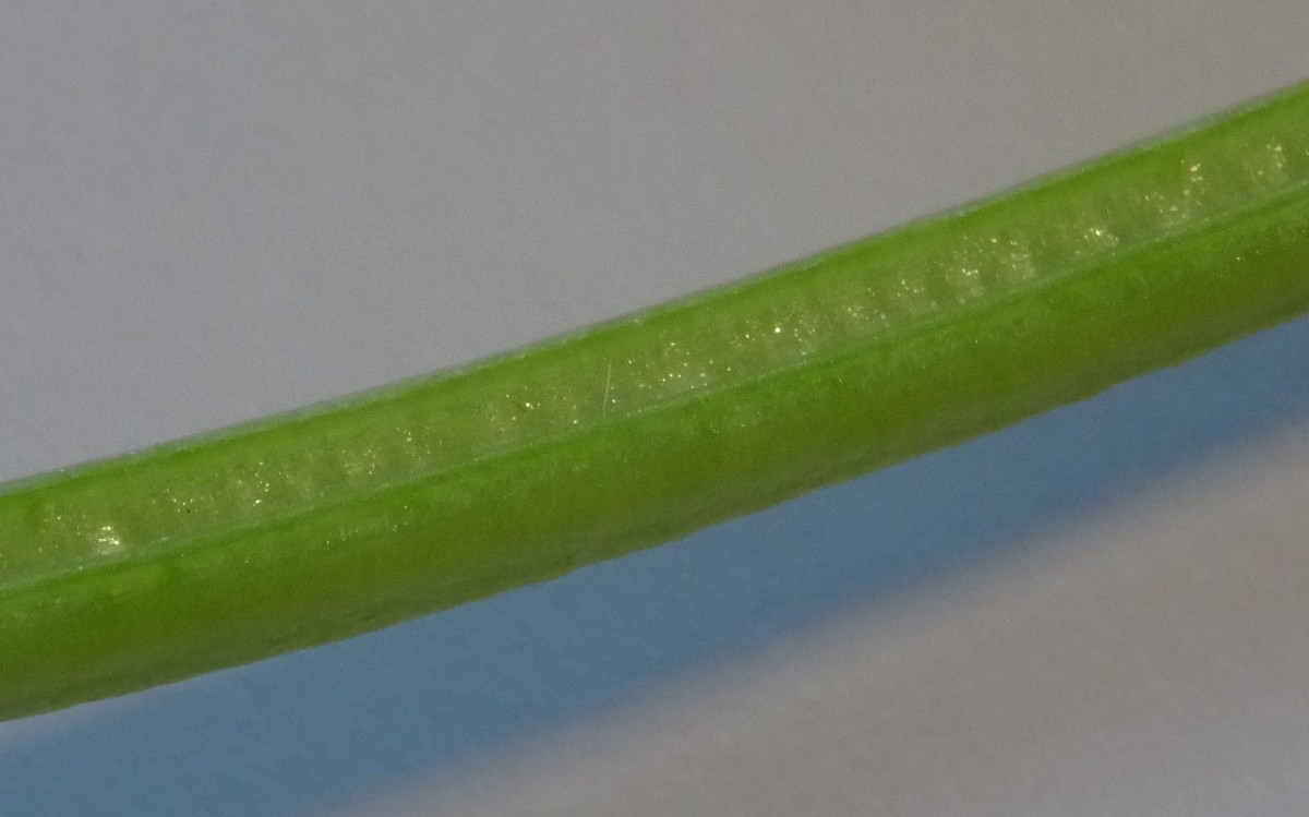 #2 Stengel.JPG