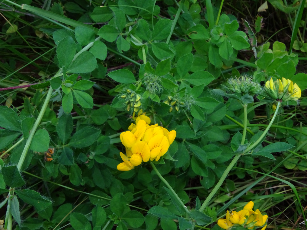 DSC01489.JPG
