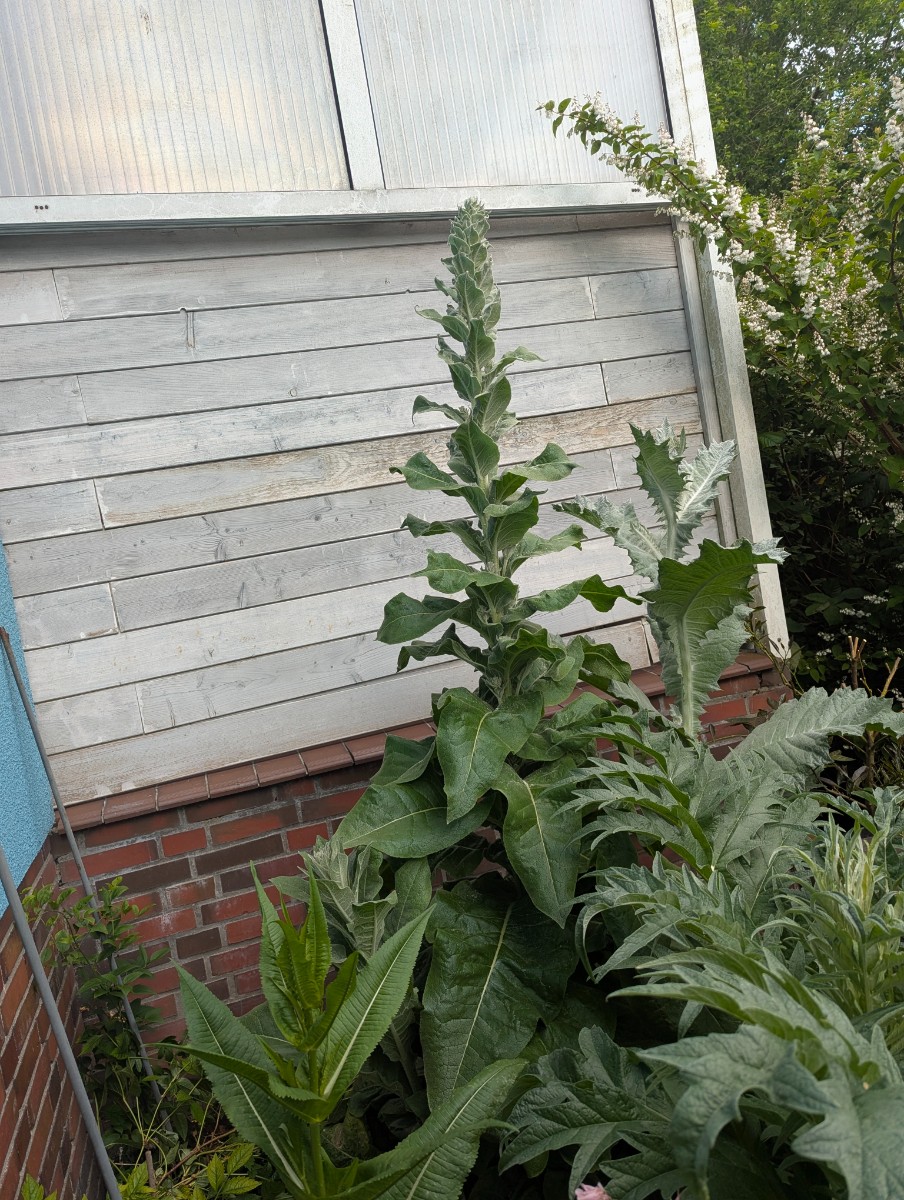 PXL_20250602_154238787.jpg