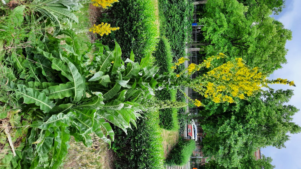 20250606_134026.jpg
